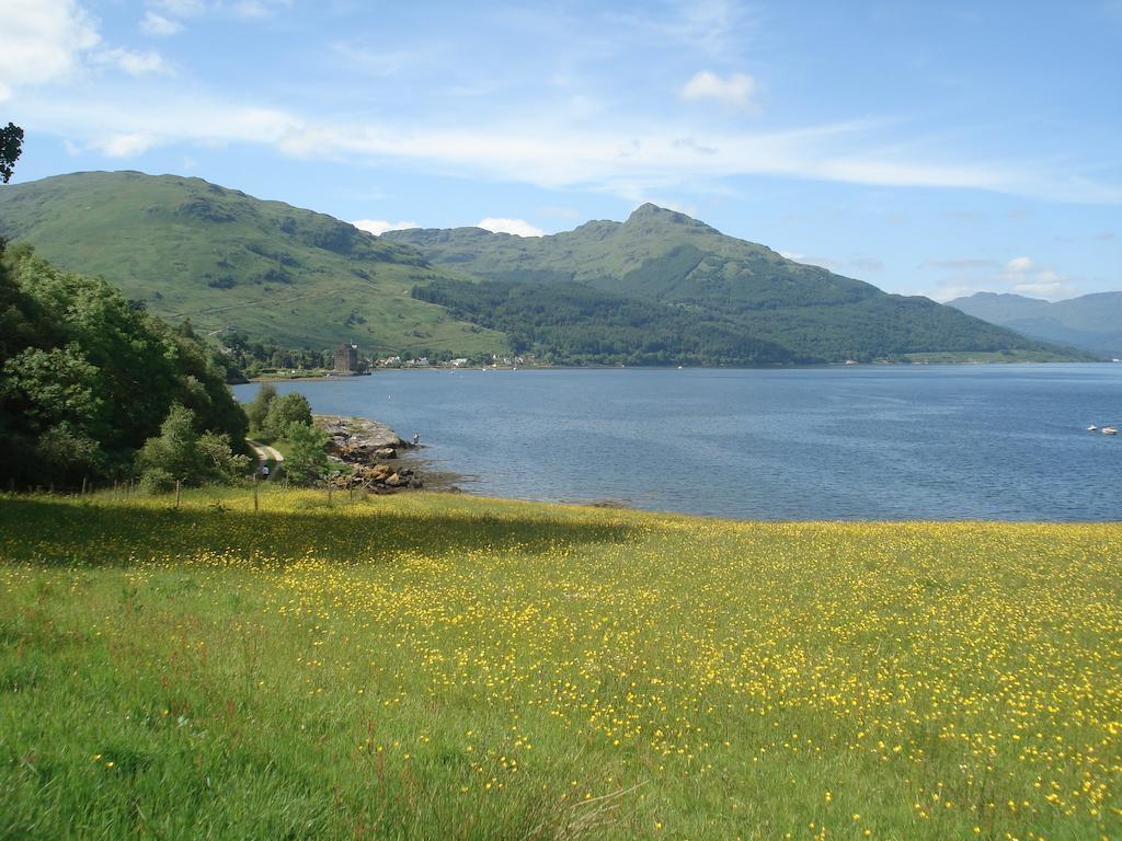 Rowan House & A Self Catering