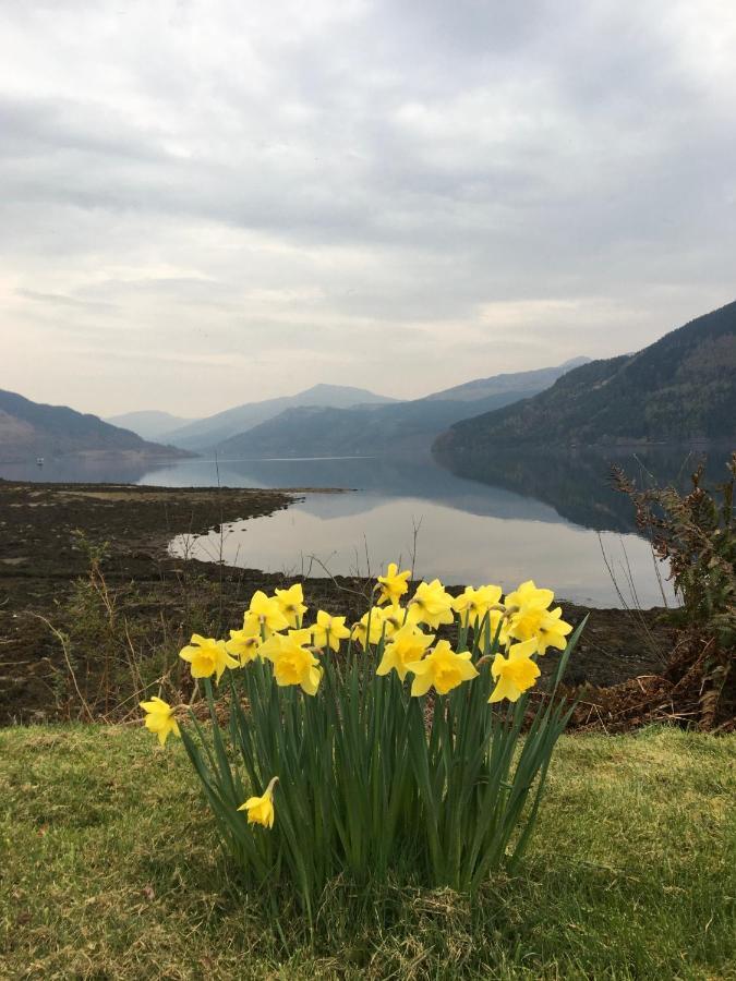 Rowan House & A Self Catering * Lochgoilhead
